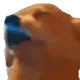 EN_doggojam