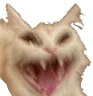 kittypanik
