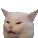 Catangry catangry Discord Emoji