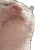 catjamspin catjamspin