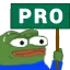 pro pro