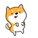 corgiawkward