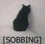 Sobbing Sobbing Discord Emoji