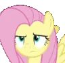 AL_MLPFlutterwhatever