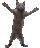 cat_dance