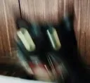 catexcitement