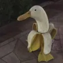 bananaduck