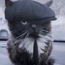 peakyblinderscat peakyblinderscat