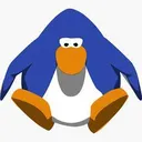pinguin_top