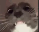 fear