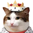 catKing