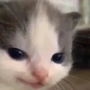 Hehe Hehe