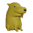 hourdog