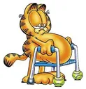 garfield