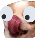 dog_lick Discord emoji