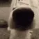 dogesniff dogesniff