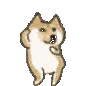 dogedance