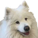 keela