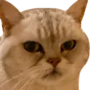 spookysulk