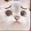 katze_sad