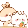 a_zbun_pat_pet_comfy a_zbun_pat_pet_comfy