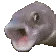 pog_fish