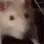 rat_jam