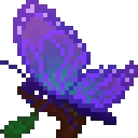 Amathinesbutterfly