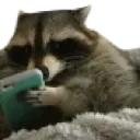 gamerracc Discord Emoji