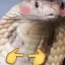 uwucobra Discord Emoji