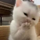 oo