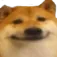 DogSmile