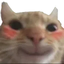 catblush