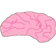 giron2Brain