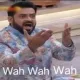 wah_wah_wah