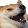 laugh