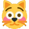Flushed_cat