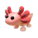 Axolotl