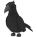 Crow