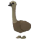 Emu