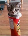 Pringles_Ket