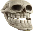 TrollSkull