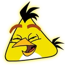 ChuckHappy ChuckHappy