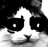 starebleak starebleak