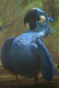 wowblu Discord emoji