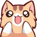 cat_wow
