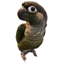 gar_bmh gar_bmh