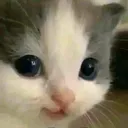 hehe