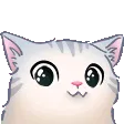 cutekittyuwu