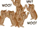 wooyeahwoo